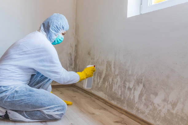 Bathroom Mold Removal assessment in Lake Hopatcong bathroom